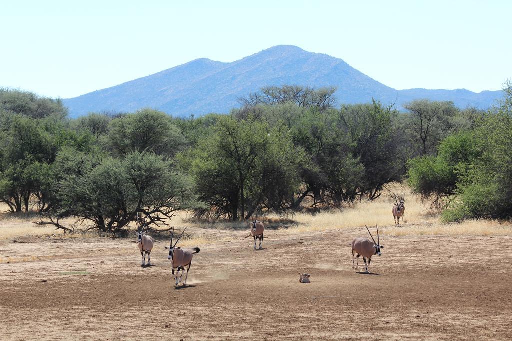 Haasenhof Gastefarm Villa Okahandja Bagian luar foto