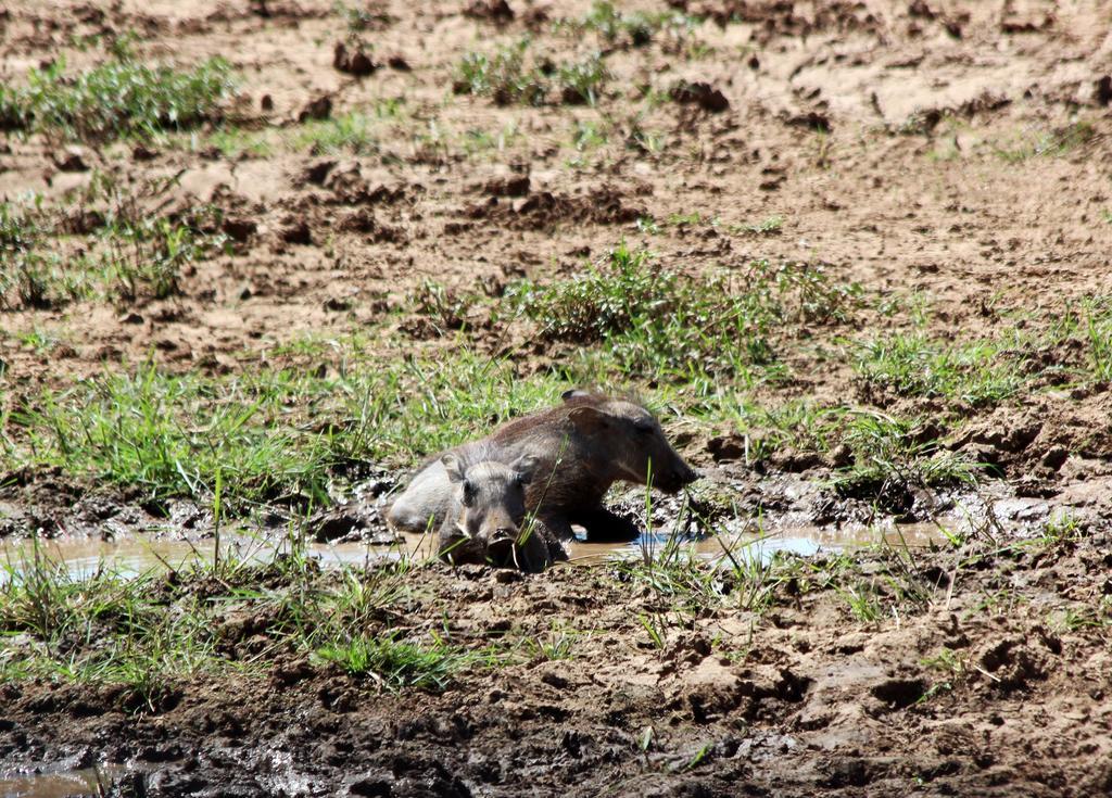 Haasenhof Gastefarm Villa Okahandja Bagian luar foto